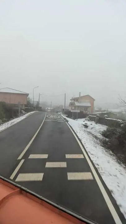 Za-P-1407 Alca&ntilde;ices Rabanales con nieve