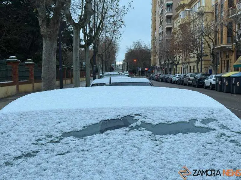 Nieve en Zamora y provincia _3