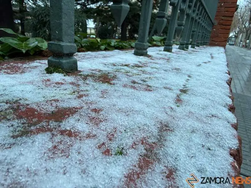 Nieve en Zamora y provincia _5