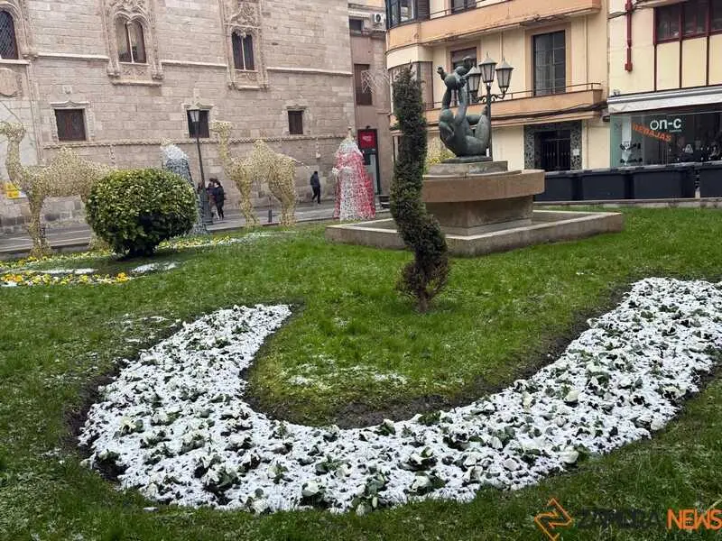 Nieve en Zamora y provincia _6