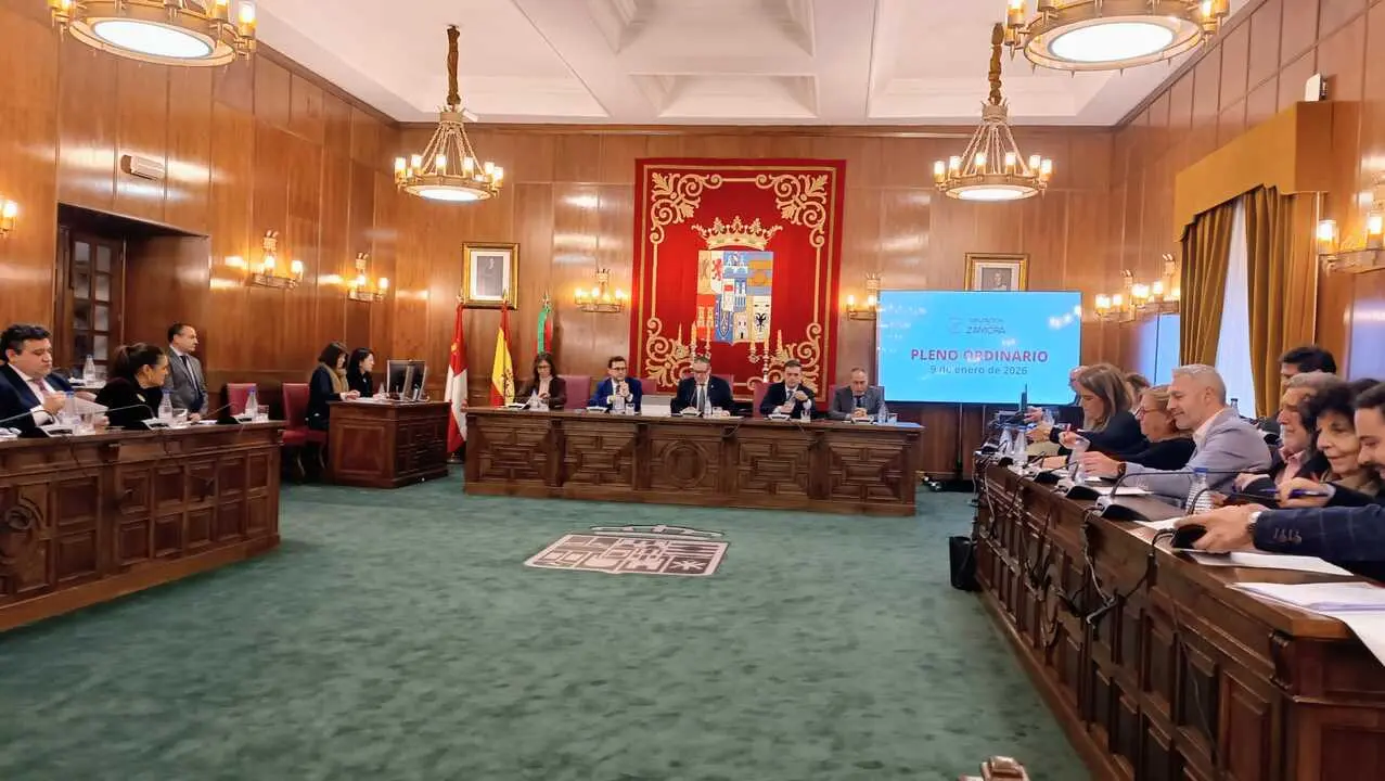 Pleno Diputaci&oacute;n de Zamora