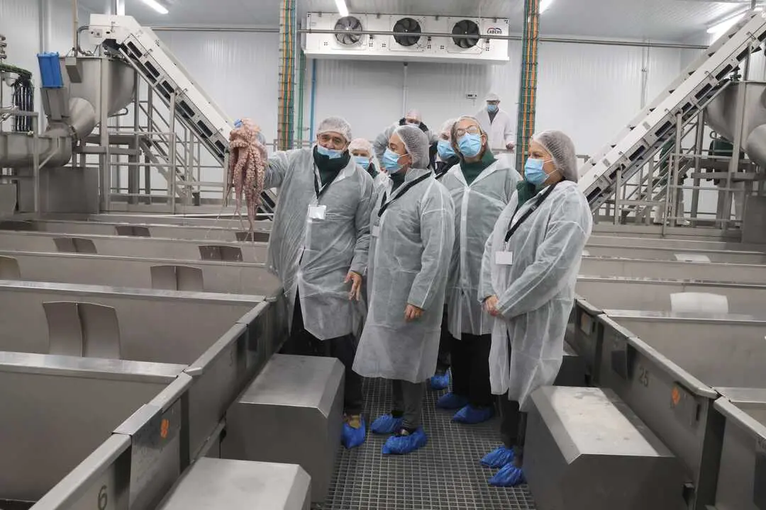 Visita a Merpac&iacute;fico, Palencia