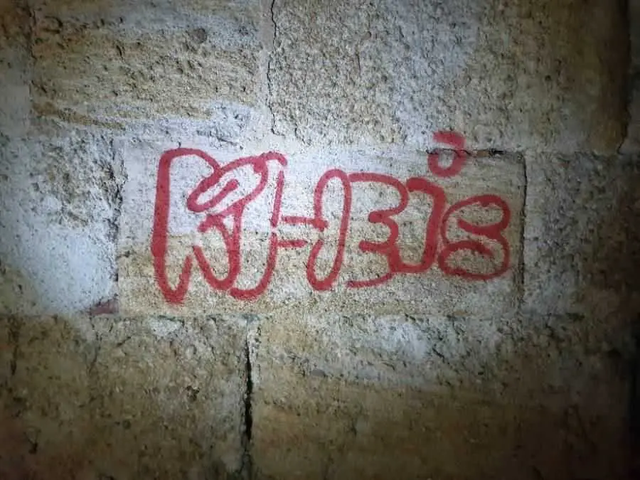 Pintadas en la muralla Zamora (1)