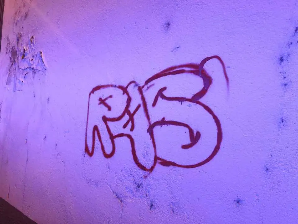 Pintadas en la muralla Zamora (3)