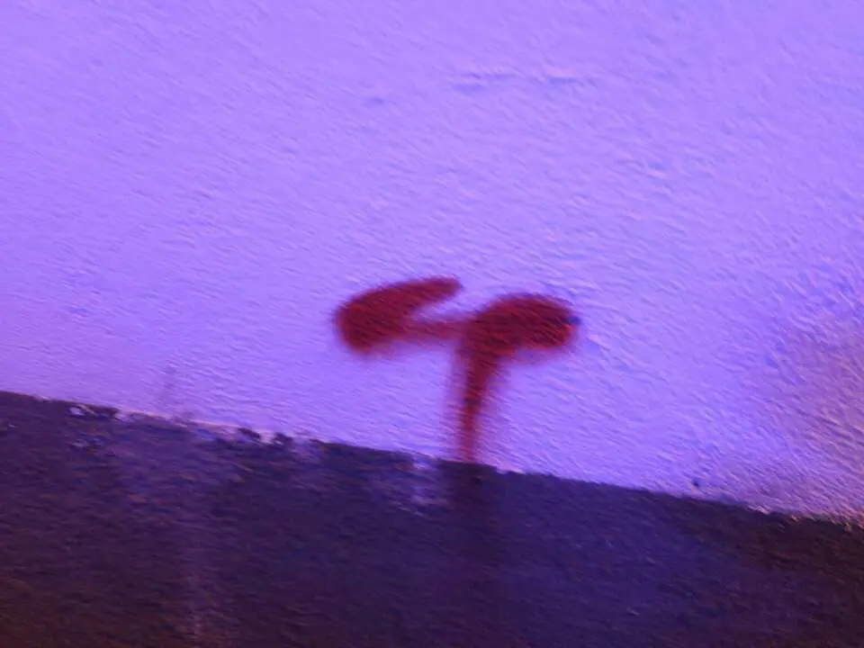 Pintadas en la muralla Zamora (4)