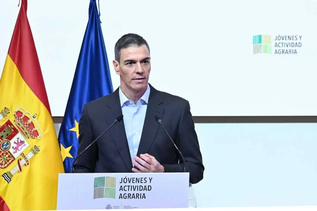 Pedro S&aacute;nchez. Imagen Qcom.es