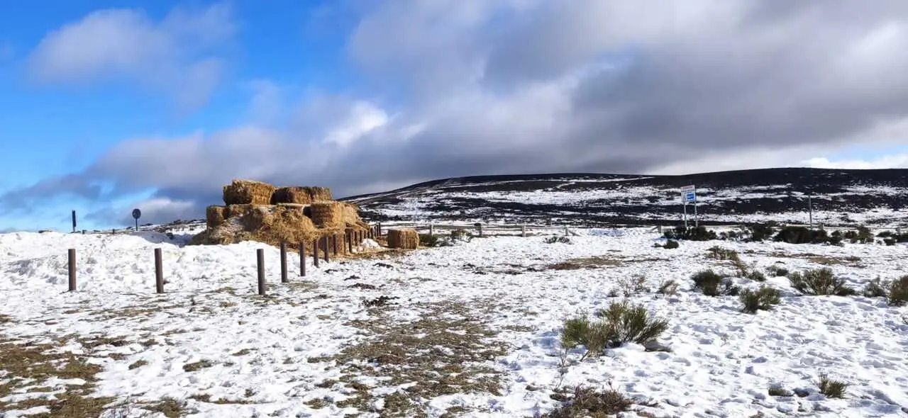 Nieve en Sanabria