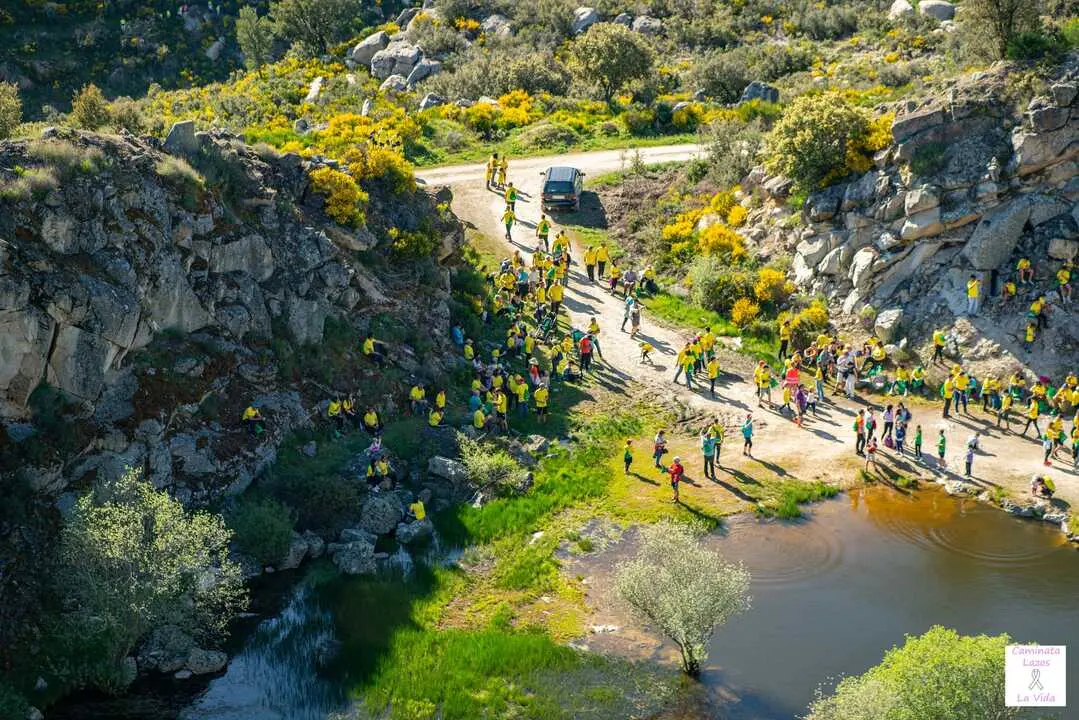 Lazos por la vida. Cantera 2