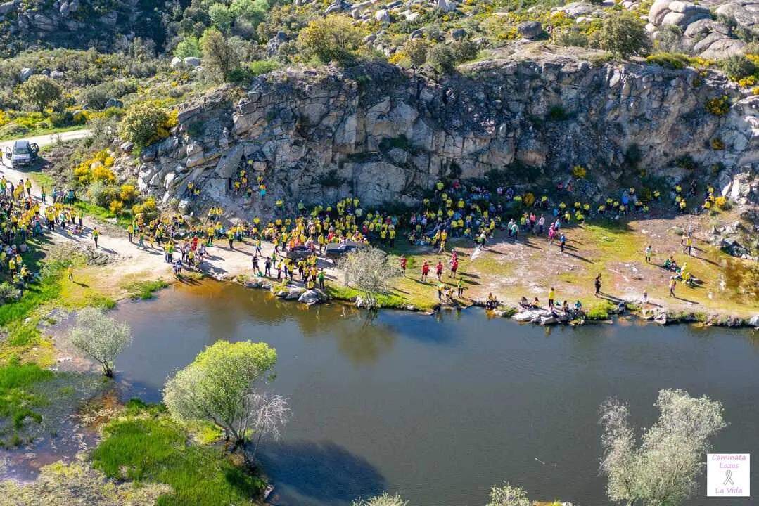 Lazos por la vida. Cantera
