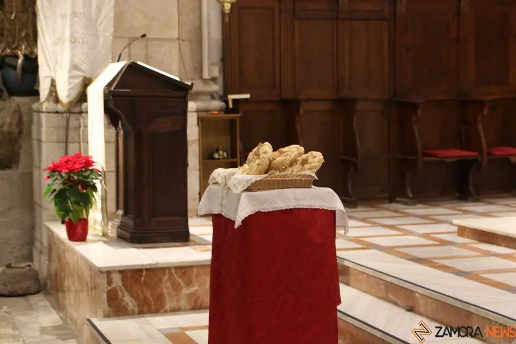 Imposici&oacute;n de Medallas Cofrad&iacute;a de San Antonio Abad _9