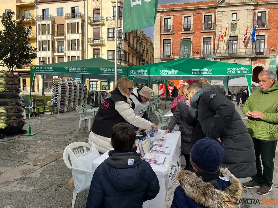 II San Antonada Zamora 