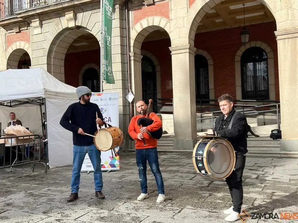 II San Antonada Zamora _5