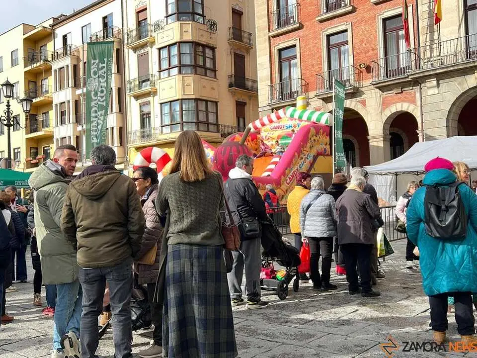 II San Antonada Zamora _10