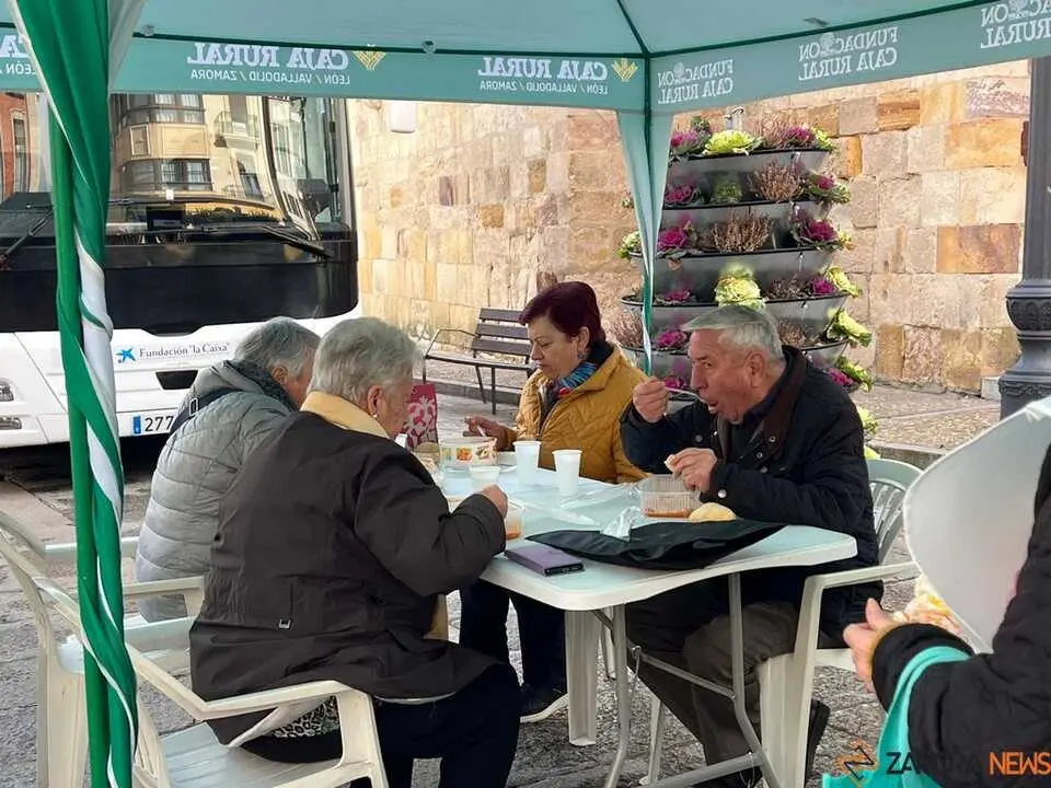 II San Antonada Zamora _32