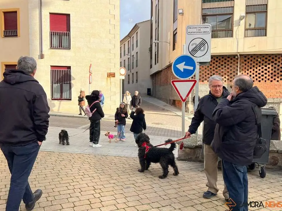 Bendici&oacute;n de los animales Zamora _4