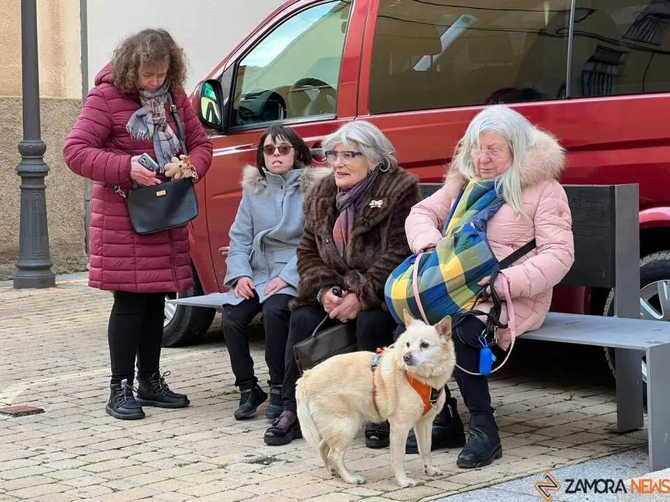 Bendici&oacute;n de los animales Zamora _14