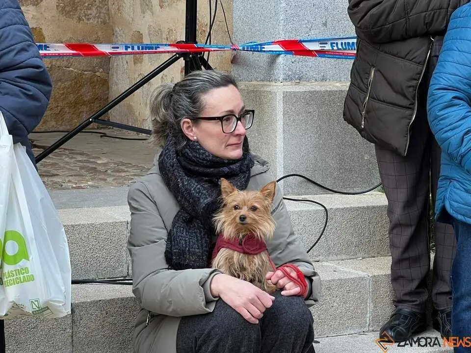 Bendici&oacute;n de los animales Zamora _21