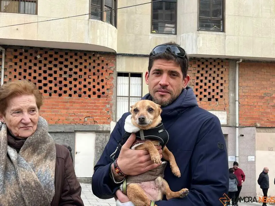 Bendici&oacute;n de los animales Zamora _25