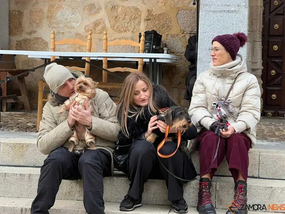 Bendici&oacute;n de los animales Zamora _26