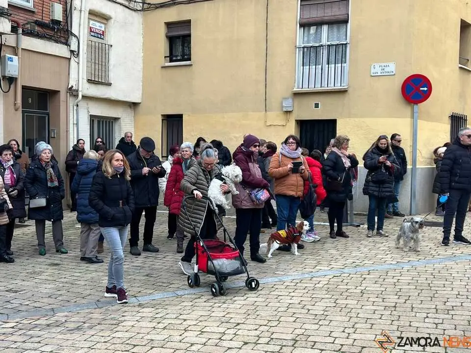 Bendici&oacute;n de los animales Zamora _27