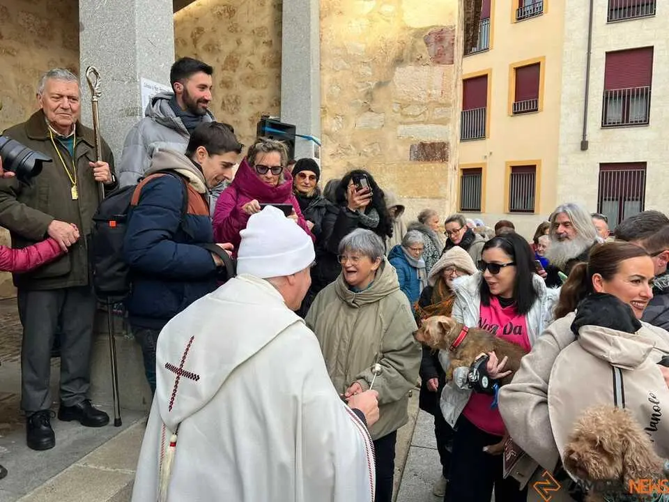 Bendici&oacute;n de los animales Zamora _40