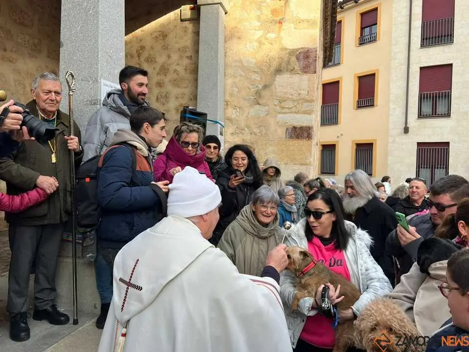 Bendici&oacute;n de los animales Zamora _41
