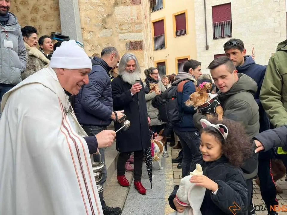 Bendici&oacute;n de los animales Zamora _44
