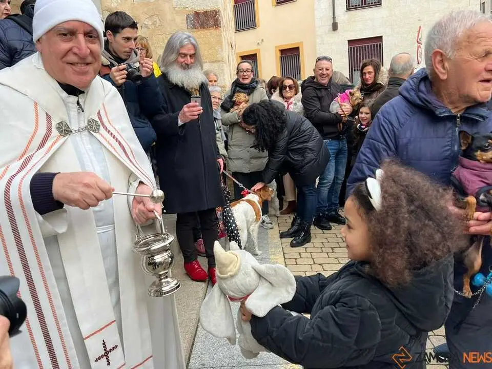 Bendici&oacute;n de los animales Zamora _45