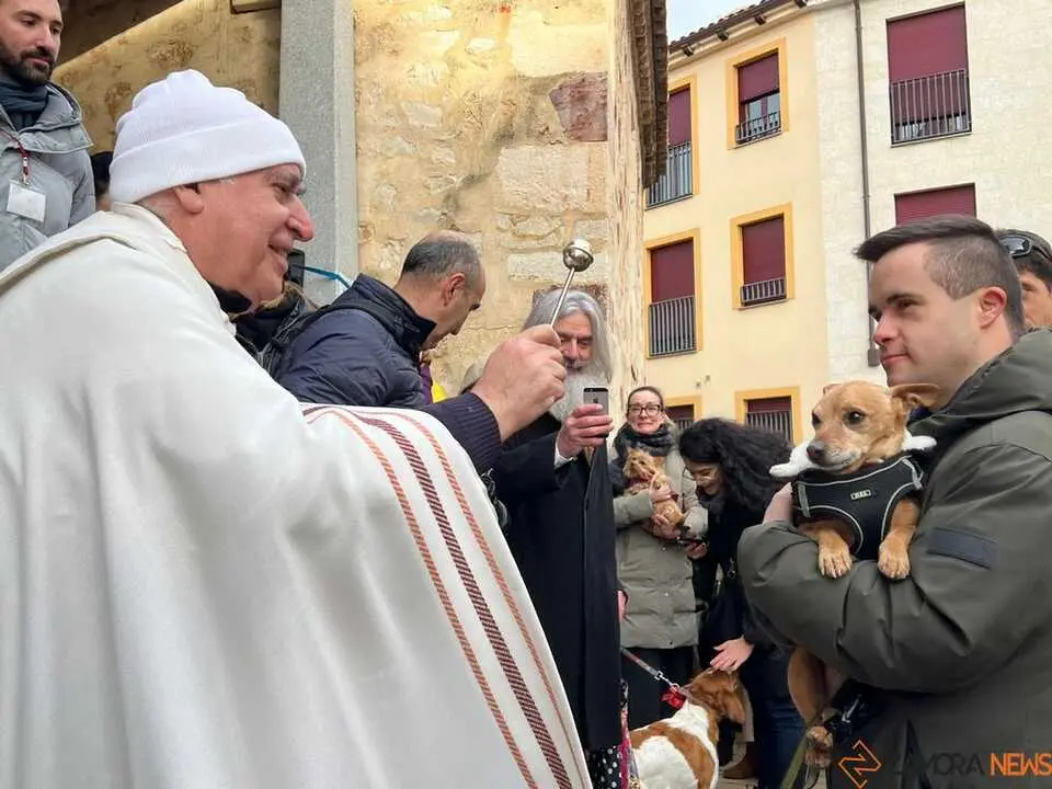 Bendici&oacute;n de los animales Zamora _47