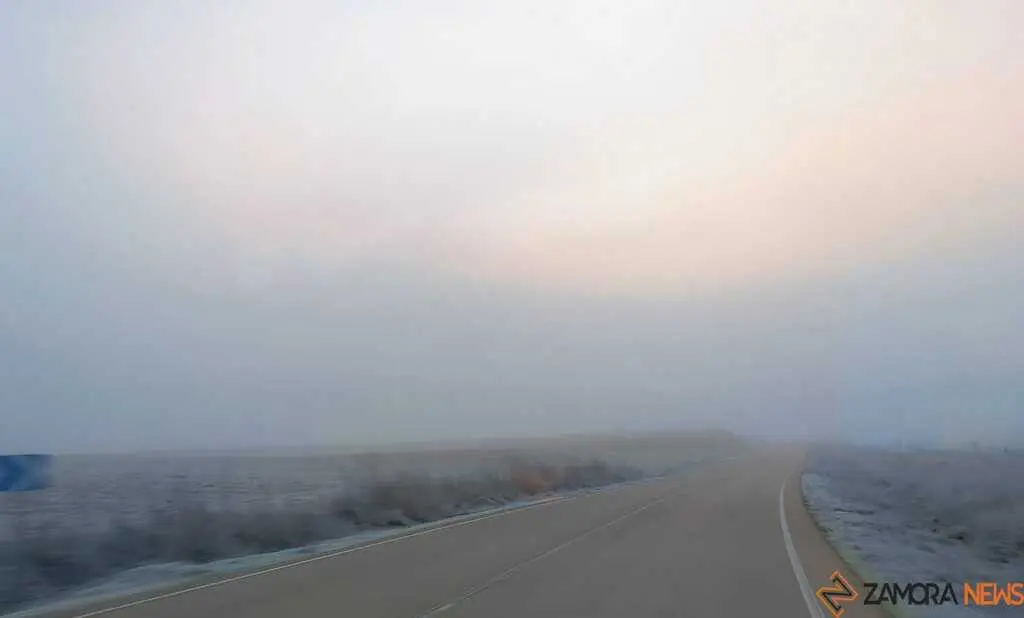 Niebla Zamora