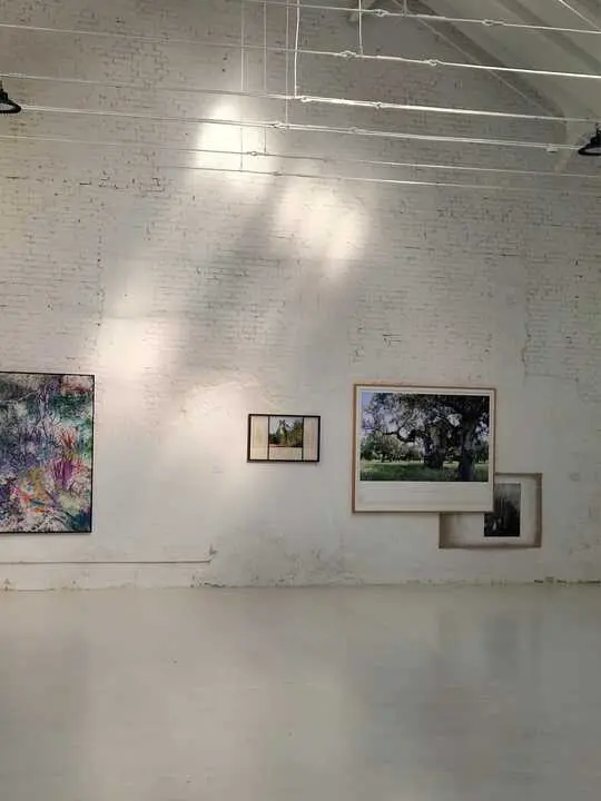 Exposición Morfogénesis en Espacio Argén Madrid (2)