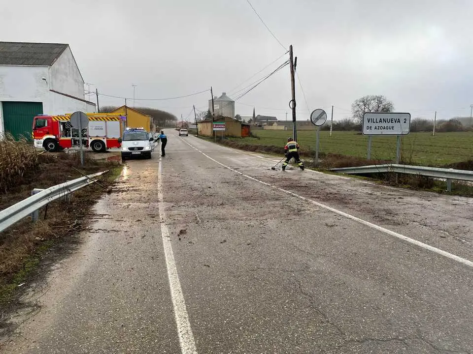ca&iacute;da de &aacute;rboles en carreteras de la provincia (3)