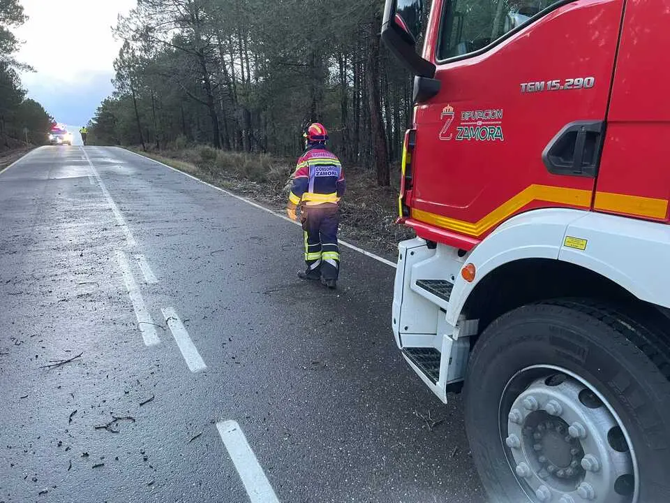 ca&iacute;da de &aacute;rboles en carreteras de la provincia (6)