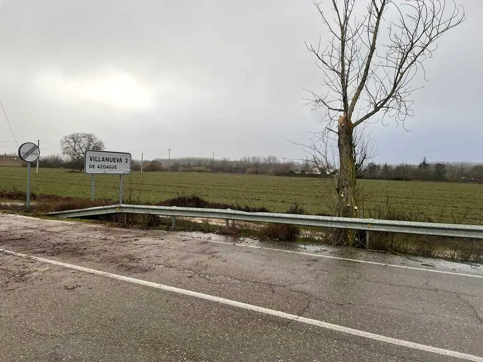 ca&iacute;da de &aacute;rboles en carreteras de la provincia (7)