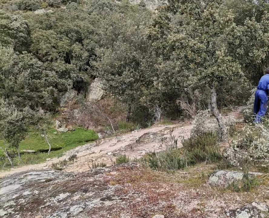 Monte en la zona de Aliste