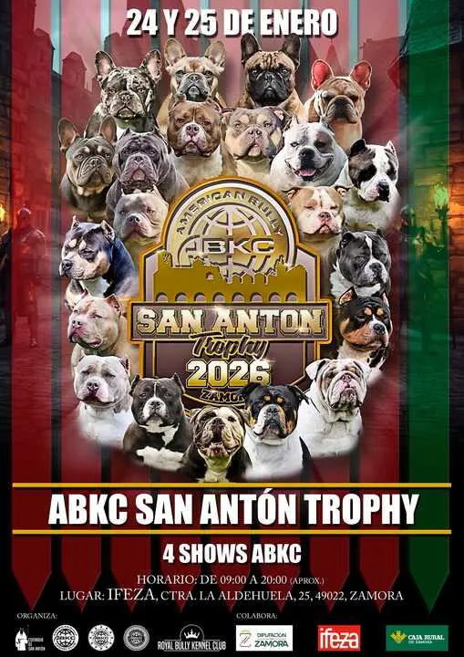 ABKC San Ant&oacute;n Trophy Zamora