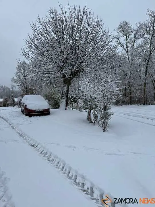 nieve sanabria enero _9