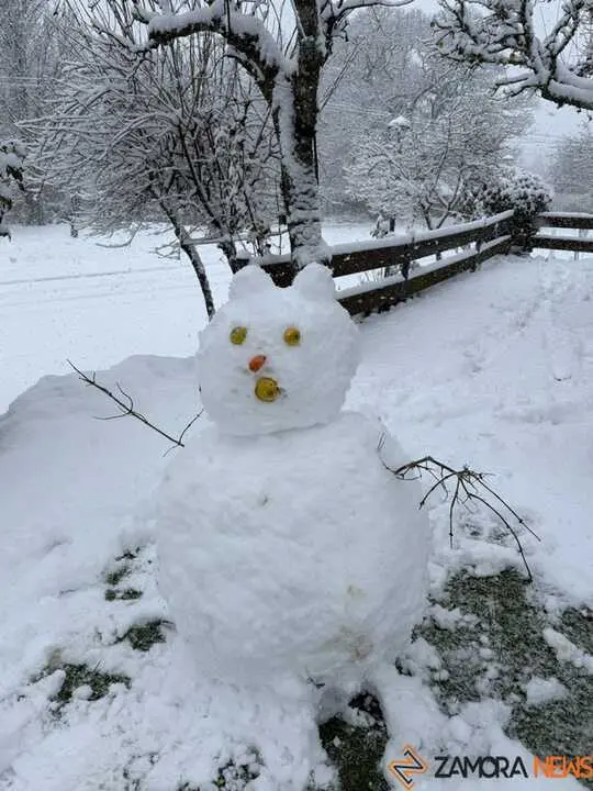 nieve sanabria enero _11