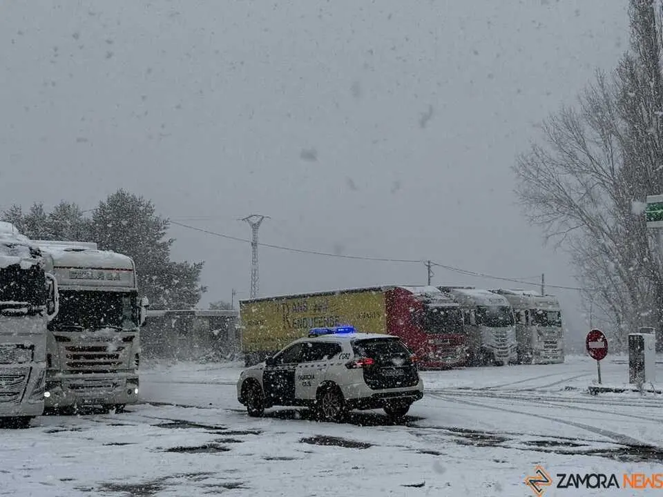 camiones embolsamiento _5