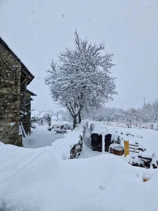 Nieve en Chanos de Sanabria - imagen cedida Jes&uacute;s Guerra