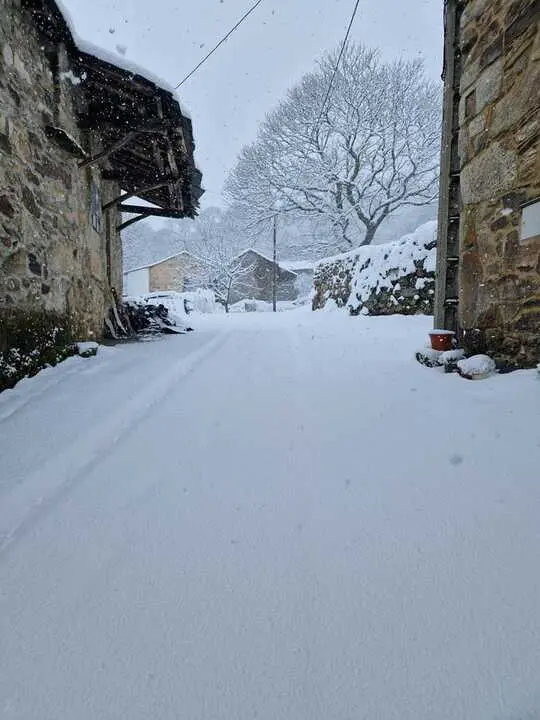 Nieve en Chanos de Sanabria - imagen cedida Jes&uacute;s Guerra_5