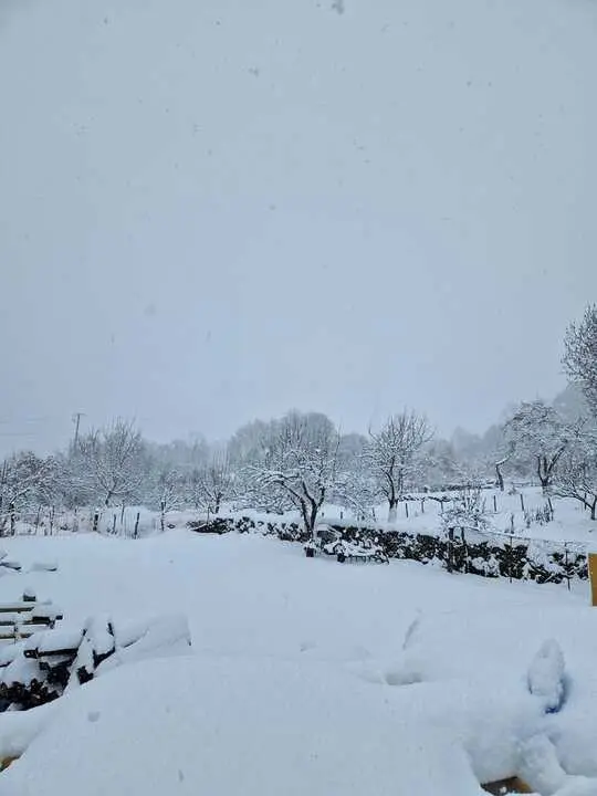 Nieve en Chanos de Sanabria - imagen cedida Jes&uacute;s Guerra_6