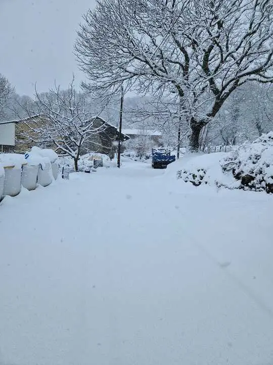 Nieve en Chanos de Sanabria - imagen cedida Jes&uacute;s Guerra_8