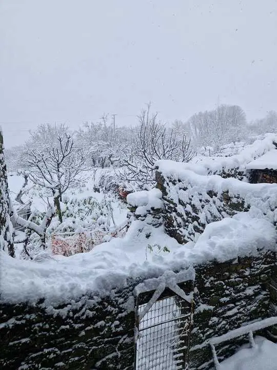 Nieve en Chanos de Sanabria - imagen cedida Jes&uacute;s Guerra_9