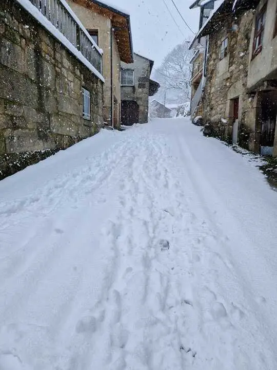 Nieve en Chanos de Sanabria - imagen cedida Jes&uacute;s Guerra_10