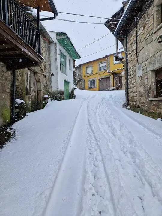 Nieve en Chanos de Sanabria - imagen cedida Jes&uacute;s Guerra_11
