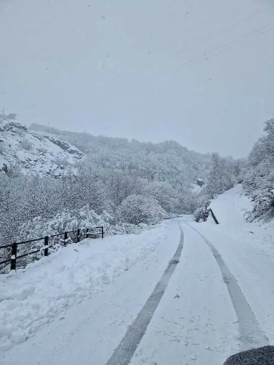 Nieve en Chanos de Sanabria - imagen cedida Jes&uacute;s Guerra_12