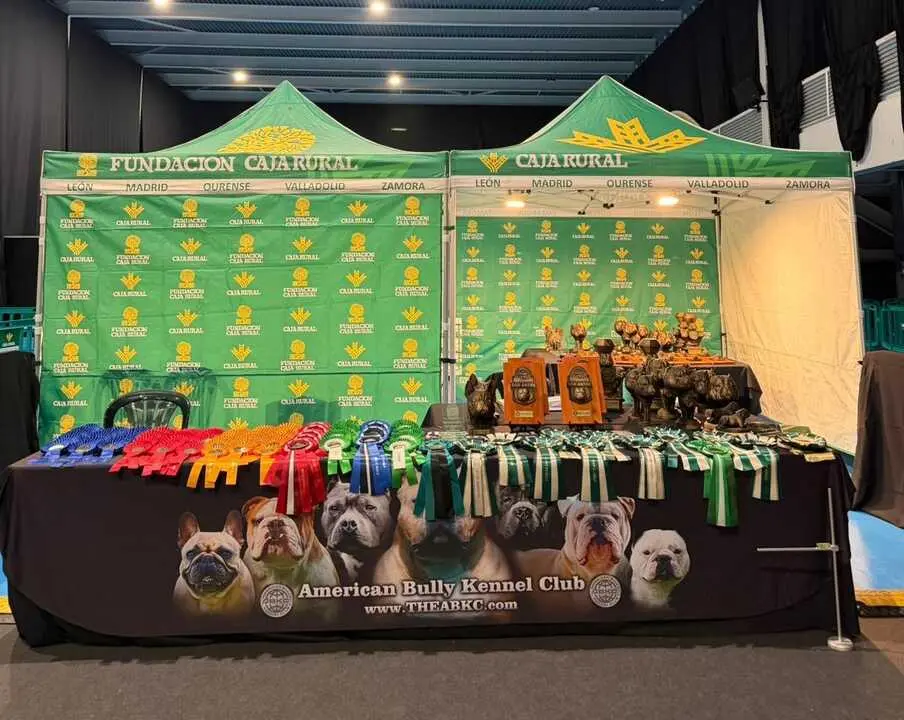 Trofeos ya preparados para el evento canino en Ifeza