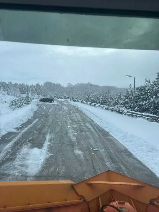 temporal Ingrid  (2)