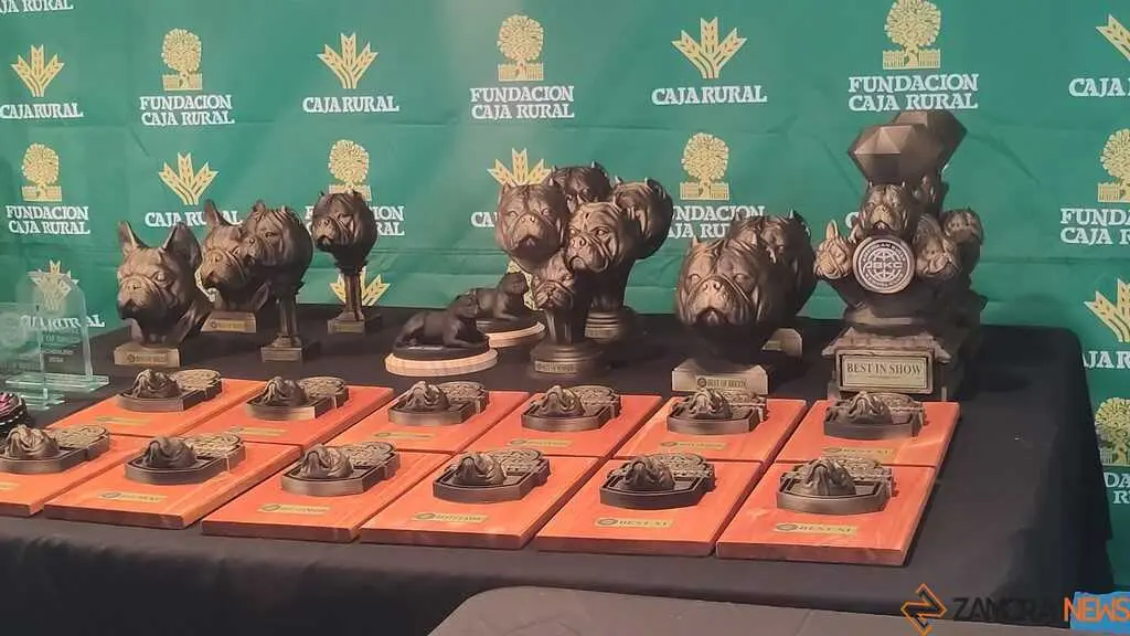 perros, ABKC San Ant&oacute;n Trophy_10